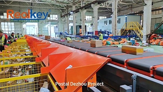 Linear sorting machine postal dezhou project