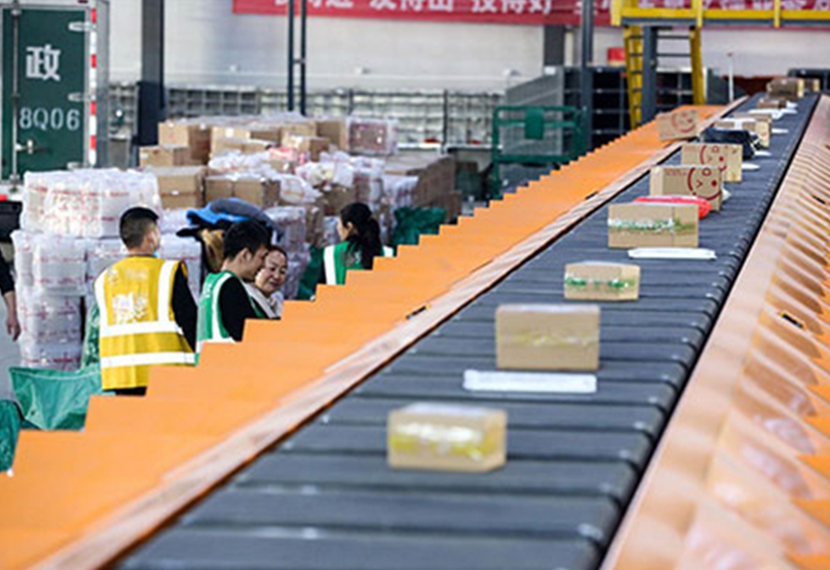 Narrow Belt Sorter
